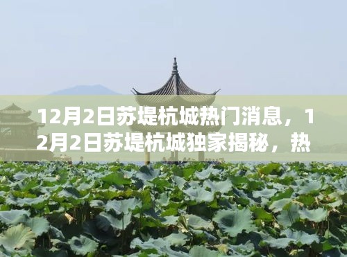 独家揭秘，揭秘苏堤杭城热门消息，一网打尽最新动态