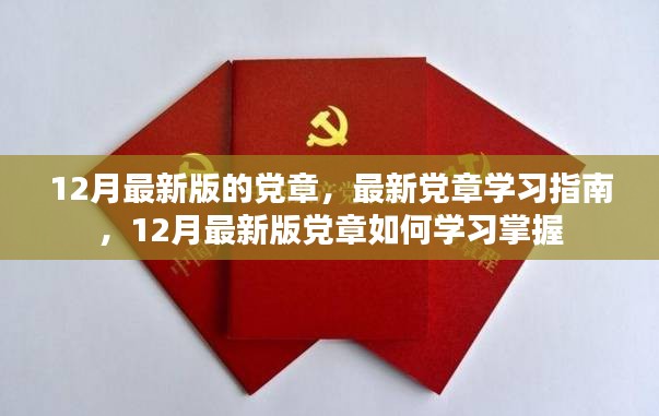 最新党章学习指南，掌握12月最新版党章的步骤与要点