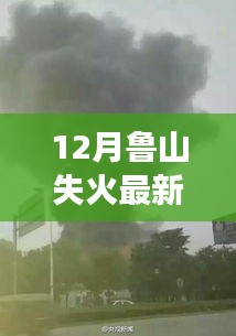 鲁山火灾最新动态，深入解析12月火情及救援细节