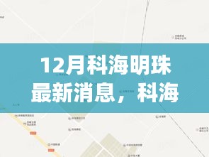 科海明珠新项目动态深度解析与观点碰撞，最新消息揭秘
