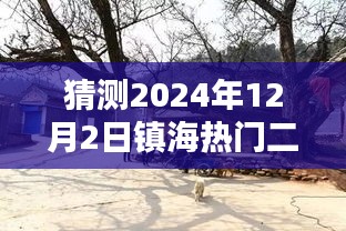 揭秘镇海小巷深处的独特二手房，预测未来热门之选与隐藏特色小店，2024年镇海热门二手房出售前瞻