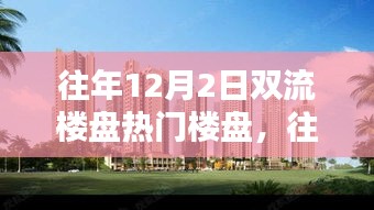 往年12月2日双流热门楼盘探访攻略，选房全步骤指南