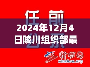 陵川组织部最新公示揭示，人才发展与民生新动向，2024年12月重磅更新！