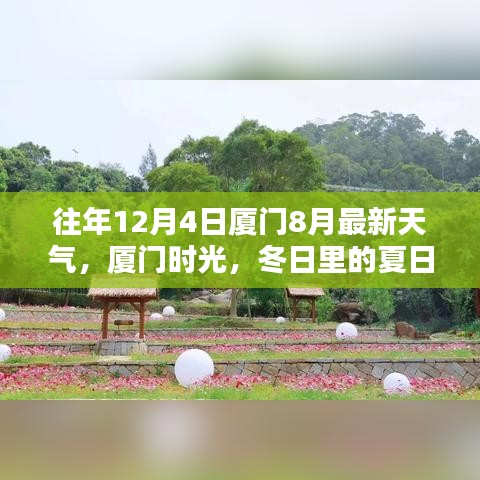 厦门时光，冬日里的夏日回忆与暖心重逢——历年天气回顾与最新天气预报