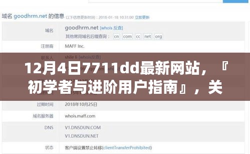12月4日7711dd最新网站使用指南，初学者与进阶用户合法使用步骤详解