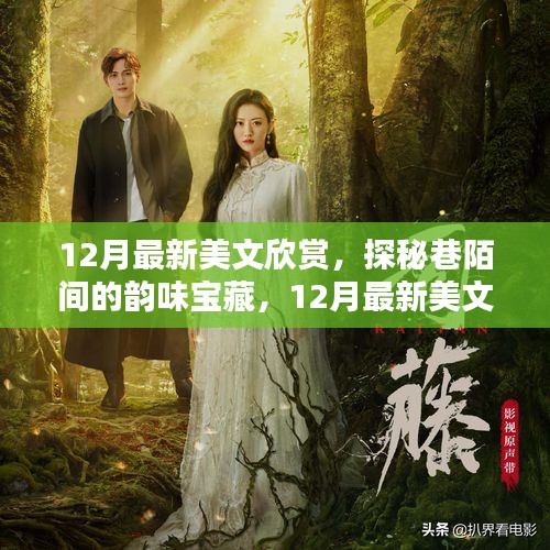 探秘巷陌韵味宝藏，十二月特色小店美文欣赏