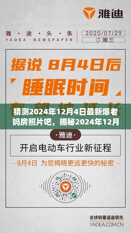 揭秘与预测，2024年12月4日老妈房新潮流照片曝光