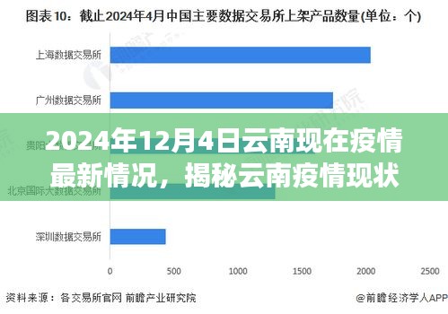 2024年12月4日云南疫情最新动态，现状揭秘与防控进展