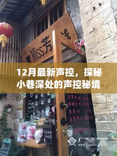 探秘隐藏版特色小店，声控秘境的奇妙故事