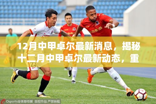 揭秘十二月中甲卓尔最新动态，重磅消息与未来展望