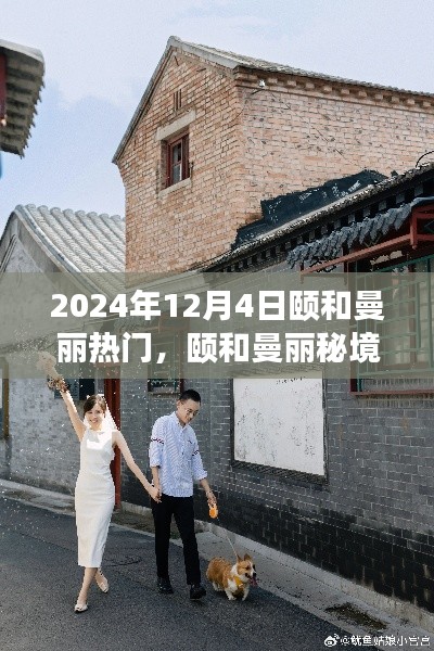 颐和曼丽秘境，探索小巷深处的独特风味之旅（2024年12月4日）