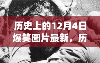 历史上的12月4日，爆笑图片与自然美景的双重盛宴，寻找内心的平和之旅