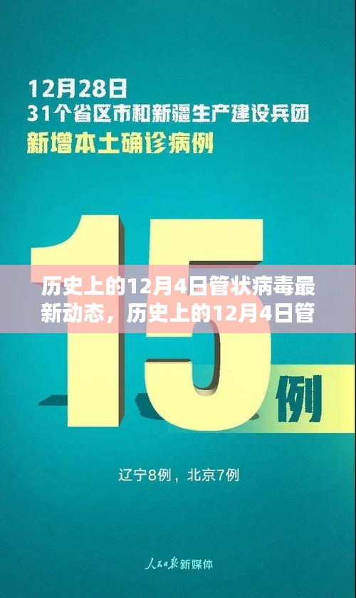 历史上的12月4日管状病毒最新动态，全面防护指南与技能学习教程发布
