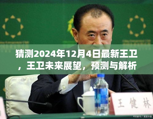 王卫未来展望，预测与解析，到2024年12月4日的最新动态与趋势展望