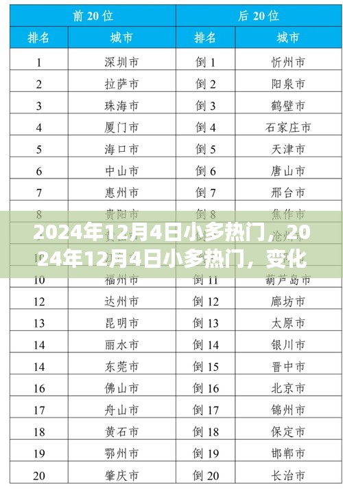 变化中的学习之旅，自信与成就感的源泉——2024年12月4日小多热门回顾