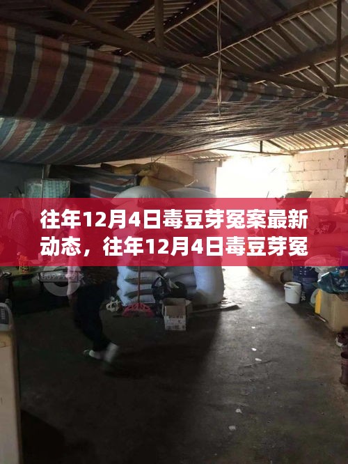 往年12月4日毒豆芽冤案最新进展及应对指南，跟进案件与行动步骤详解