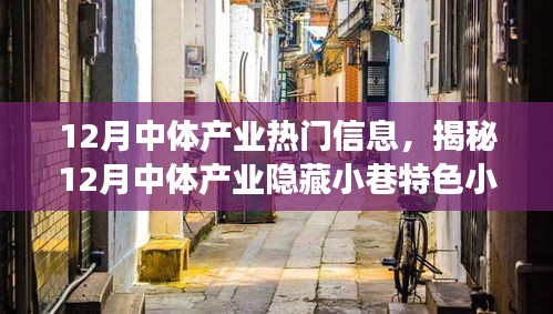 揭秘十二月中体产业隐藏小巷特色小店，体育奇缘的不期而遇