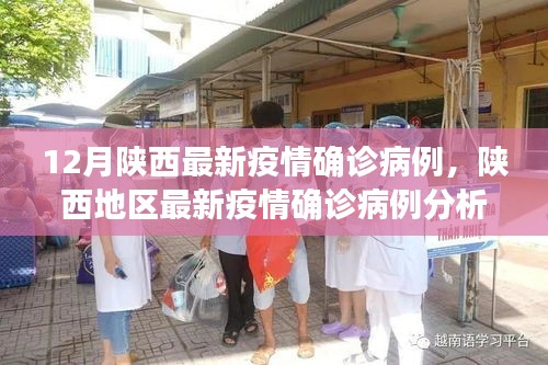 陕西地区最新疫情确诊病例分析报告，12月新增病例分析