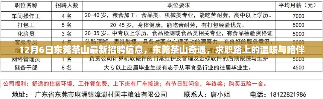 12月6日东莞茶山最新招聘信息，东莞茶山奇遇，求职路上的温暖与陪伴