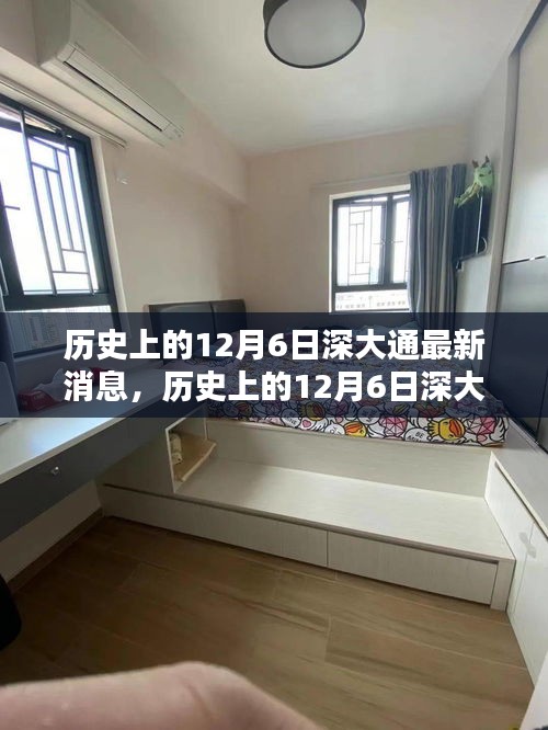 历史上的12月6日深大通最新消息全面解析，特性、体验、竞品对比及用户群体深度分析
