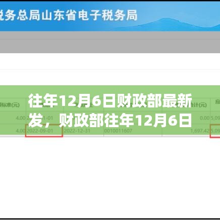财政部历年12月6日发布政策解读，要点详解与影响分析