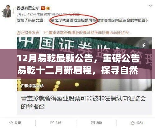 易乾重磅公告，十二月新启程探寻自然秘境的心灵之旅