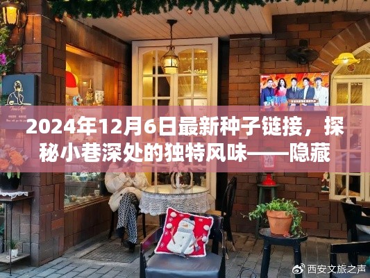 时光巷陌的秘密，探秘小巷深处特色小店的新种子链接新发现（2024年12月6日）