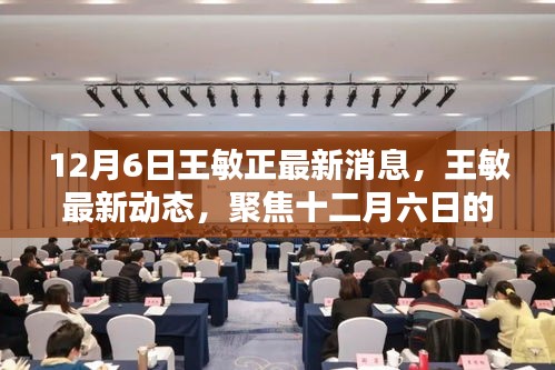 聚焦王敏最新动态，十二月六日的最新消息与深远影响
