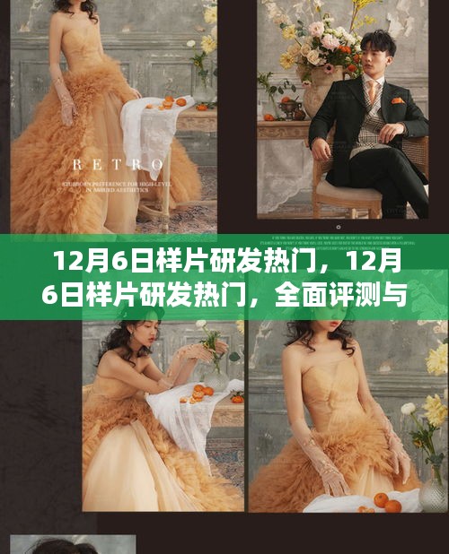 12月6日样片研发热门，全面评测与介绍
