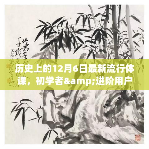 飞扬拨扈 第5页