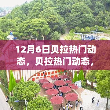 12月6日贝拉热门动态，贝拉热门动态，12月6日的自然探索之旅，寻找内心的宁静与微笑