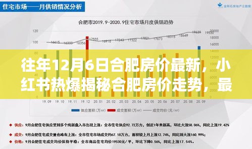 揭秘合肥房价走势，历年12月6日房价动态回顾与小红书热门揭秘！