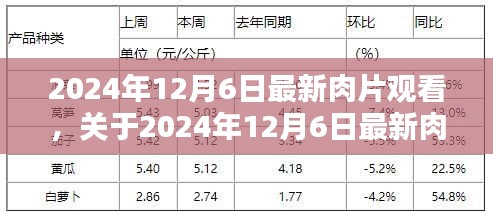 2024年12月6日最新肉片观看，正式评测与详细介绍