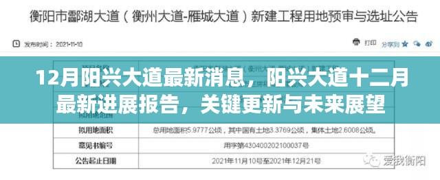 阳兴大道最新进展报告，关键更新与未来展望（十二月版）