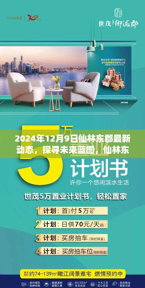 仙林东郡最新动态，多维视角解读未来蓝图（2024年12月9日更新）