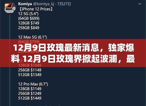 玫瑰界独家爆料，最新消息揭秘，掀起波澜的玫瑰动态！