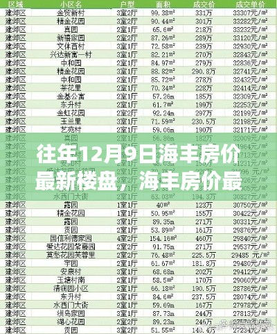 历年回顾与展望，海丰房价最新动态及楼盘更新指南（12月9日）