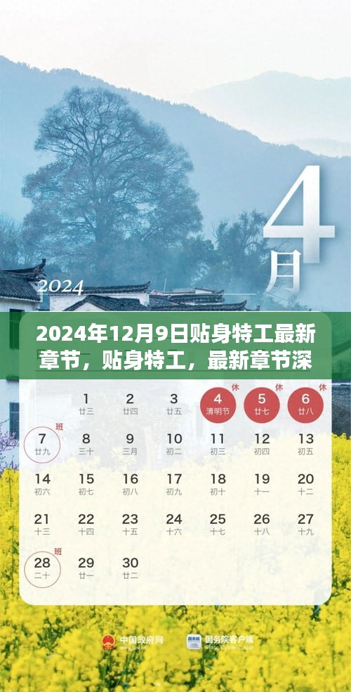 2024年12月9日贴身特工最新章节深度测评与介绍，特工世界的细致剖析