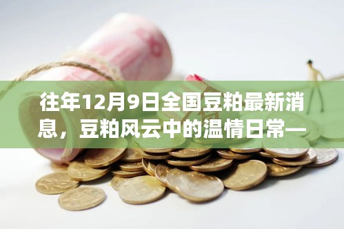 往年12月9日全国豆粕最新消息，豆粕风云中的温情日常——记十二月九日的那袋豆粕与我们的友情故事