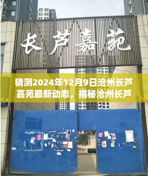 揭秘预测，沧州长芦嘉苑最新动态展望（2024年12月9日）