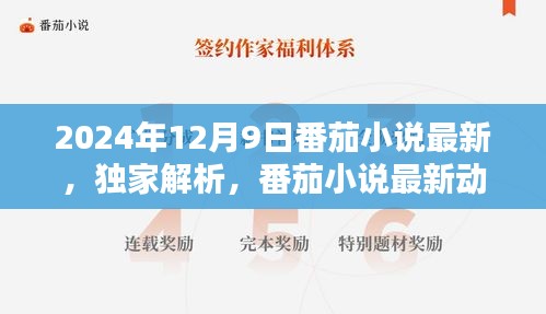 独家解析，番茄小说2024年12月9日版本更新亮点及最新动态