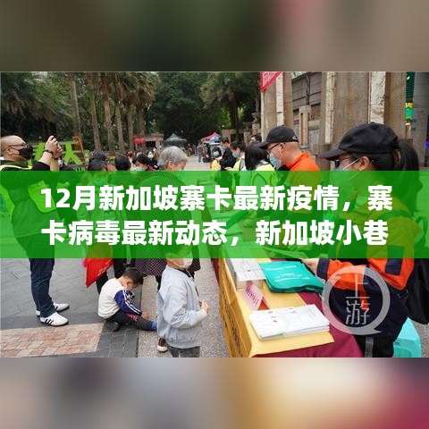 新加坡寨卡病毒最新动态，小巷深处的防疫故事与独特小店的抗疫历程