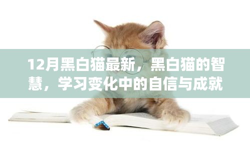 黑白猫的智慧，自信与成就感之舞在变化中的学习之路