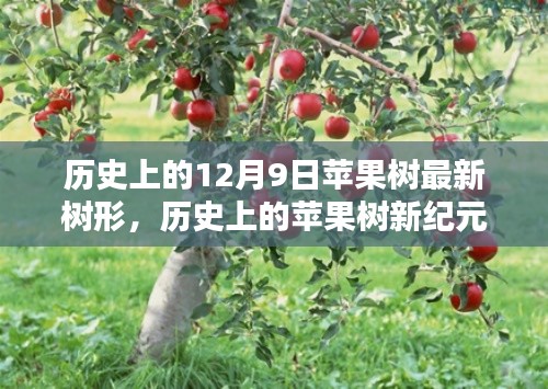 探寻苹果树新纪元，揭秘十二月九日最新树形的奥秘与影响