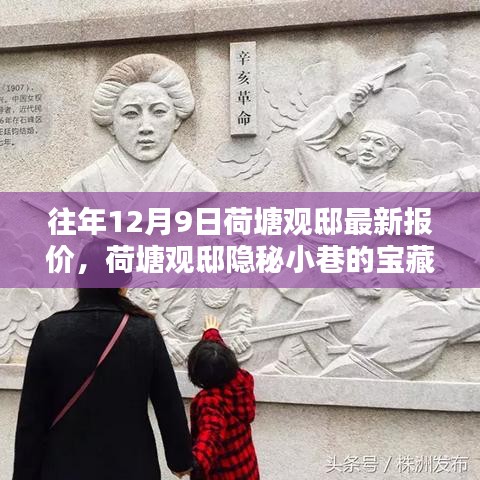 荷塘观邸12月9日最新报价揭秘，隐秘小巷的宝藏与独特风情一览