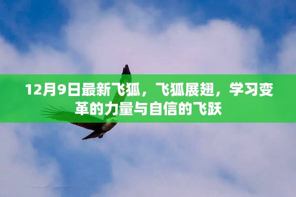飞狐展翅，学习变革的力量与自信的飞跃——最新飞狐成长纪实