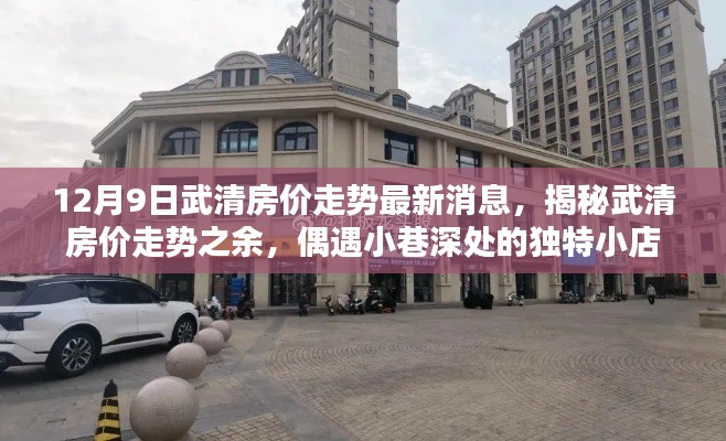 揭秘武清最新房价走势，小巷深处的独特小店带来的惊喜