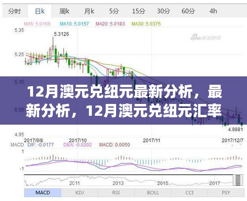 12月澳元兑纽元汇率走势深度解析，最新分析与洞察