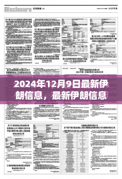 最新伊朗信息解析指南，从入门到进阶（2024年12月版）