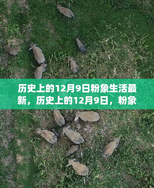 熟读深思 第4页